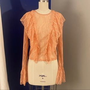 Sheer lace ruffle top
